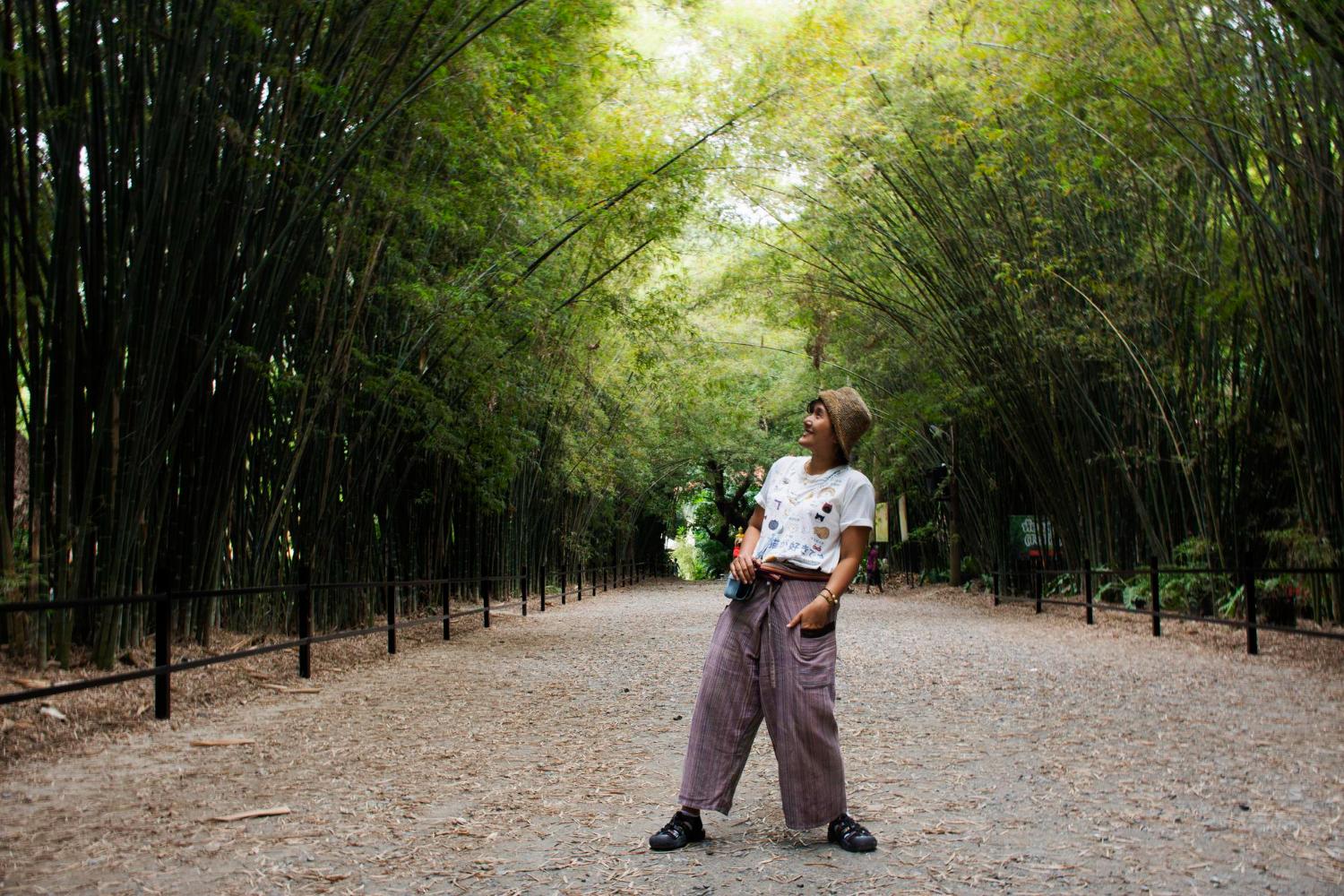 Forest Immersion Retreat